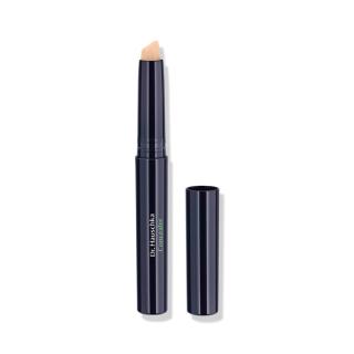 Concealer 02 chestnut