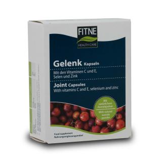 Gelenk Kapseln