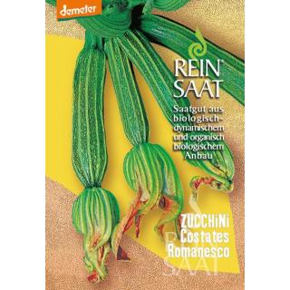 BIO Zucchini Costates Romanesco