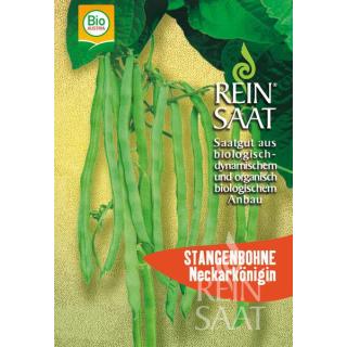 BIO Stangenbohne Neckarkönigin