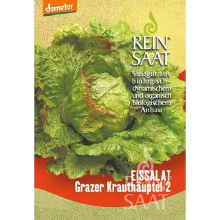 BIO Eissalat Grazer Krauthäuptel 2