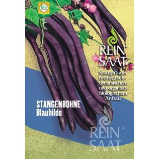 BIO Stangenbohne Blauhilde