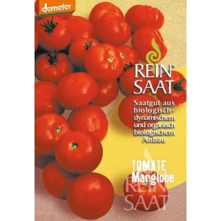 BIO Tomate Marglobe