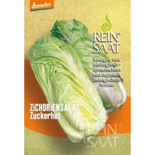 BIO Zichoriensalat Zuckerhut demeter