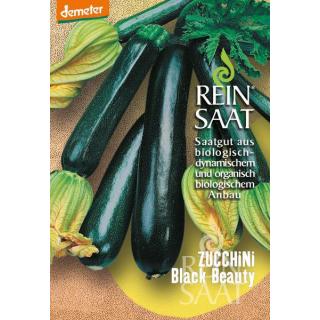 BIO Zucchini Black Beauty