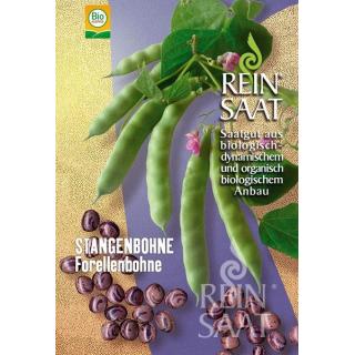 BIO Stangenbohne Forellenbohne