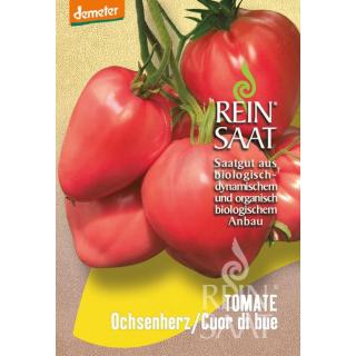 BIO Tomate Ochsenherz