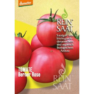 BIO Tomate Berner Rose