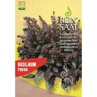 BIO Basilikum Rosso