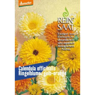 BIO Calendula officinalis Ringelblume