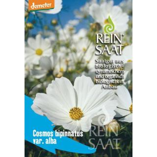 BIO Cosmea, Schmuckkörbchen weiß