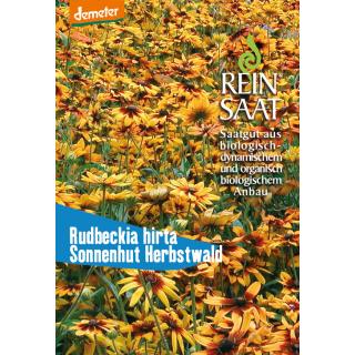 BIO Sonnenhut Herbstwald
