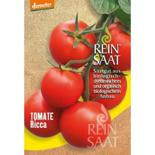 BIO Tomate Ricca