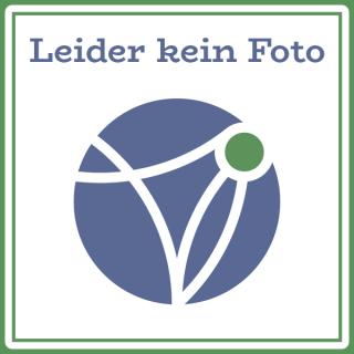 Weihrauchbrenner Ignis blau