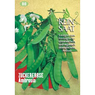 BIO Zuckererbse Ambrosia
