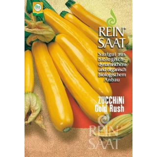 BIO Zucchini gelb Gold Rush